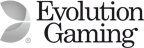 Evolution Gaming Casino: Explore the Best Evolution Live Casinos and Games logo